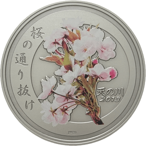 平成25年「天の川」