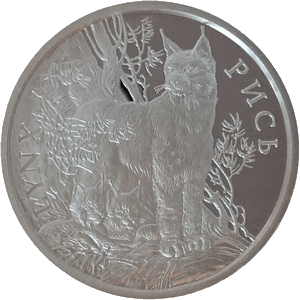 2004年